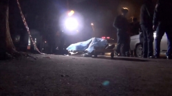 Մեքենայում դիակ կար, դիակի վրա՝ բռնի մահվան հետքեր: Ի ՞նչ պարզվեց իրականում  (ՏԵՍԱՆՅՈՒԹ) 