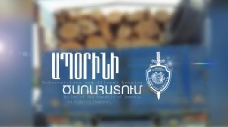 Բռնվել էր ապօրինի ծառահատման համար 