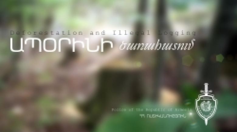 Ապօրինի հատել է 57 ծառ Ապօրինի հատել է 57 ծառ