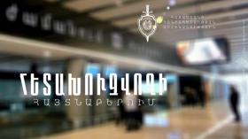 Разыскиваемая за мошенничество женщина задержана в аэропорту «Ширак»   Разыскиваемая за мошенничество женщина задержана в аэропорту «Ширак»