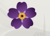 Information on upcoming events dedicated to the 100th commemoration of the Armenian Genocide /UPDATED/ Information on upcoming events dedicated to the 100th commemoration of the Armenian Genocide /UPDATED/