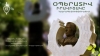 Օպերատիվ իրավիճակը հանրապետությունում` օգոստոսի 9-ից 10-ը (ՏԵՍԱՆՅՈՒԹ) Օպերատիվ իրավիճակը հանրապետությունում` օգոստոսի 9-ից 10-ը (ՏԵՍԱՆՅՈՒԹ)