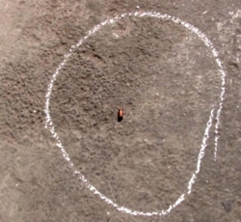 Կրակոցներ Երևանի Վարդանանց փողոցում Կրակոցներ Երևանի Վարդանանց փողոցում