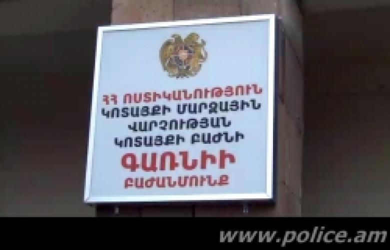 Գողթ գյուղից կատարված գողության հետքերով (ՏԵՍԱՆՅՈՒԹ) Գողթ գյուղից կատարված գողության հետքերով (ՏԵՍԱՆՅՈՒԹ)