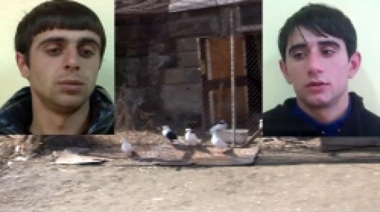 Անասնագոմերից գողություններ կատարողները՝ խոստովանությամբ (ՏԵՍԱՆՅՈՒԹ) Անասնագոմերից գողություններ կատարողները՝ խոստովանությամբ (ՏԵՍԱՆՅՈՒԹ)