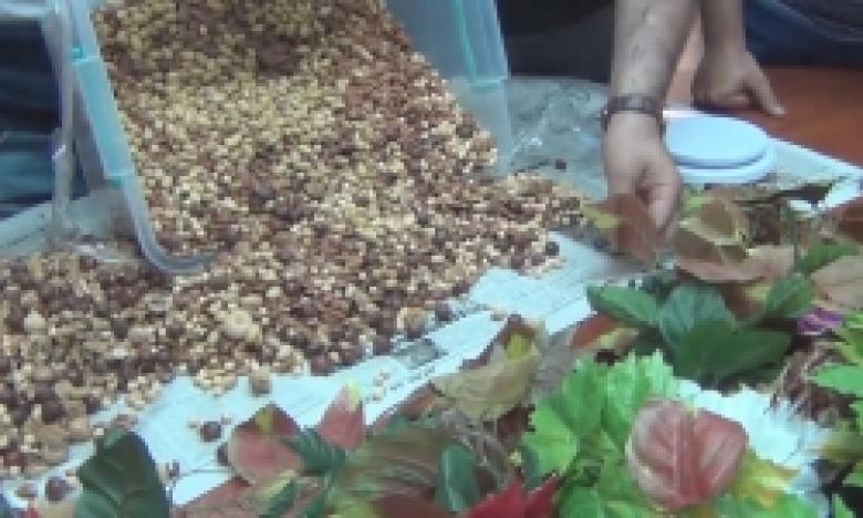 Ոստիկանությունը խոշոր չափերի հասնող թմրամիջոցի խմբաքանակ է հայտնաբերել (ՏԵՍԱՆՅՈՒԹ) Ոստիկանությունը խոշոր չափերի հասնող թմրամիջոցի խմբաքանակ է հայտնաբերել (ՏԵՍԱՆՅՈՒԹ)