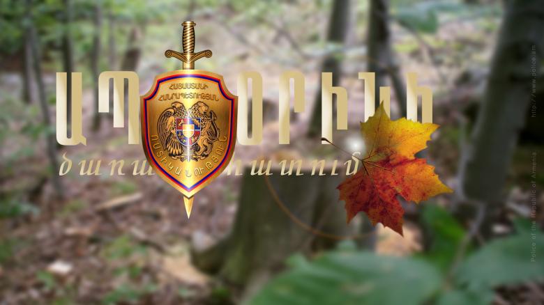 Ոստիկանները ապօրինի ծառահատման հերթական դեպքն են բացահայտել Ոստիկանները ապօրինի ծառահատման հերթական դեպքն են բացահայտել
