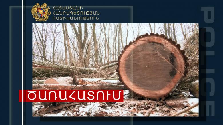 Տավուշի ոստիկանները ապօրինի ծառահատման դեպք են բացահայտել Տավուշի ոստիկանները ապօրինի ծառահատման դեպք են բացահայտել