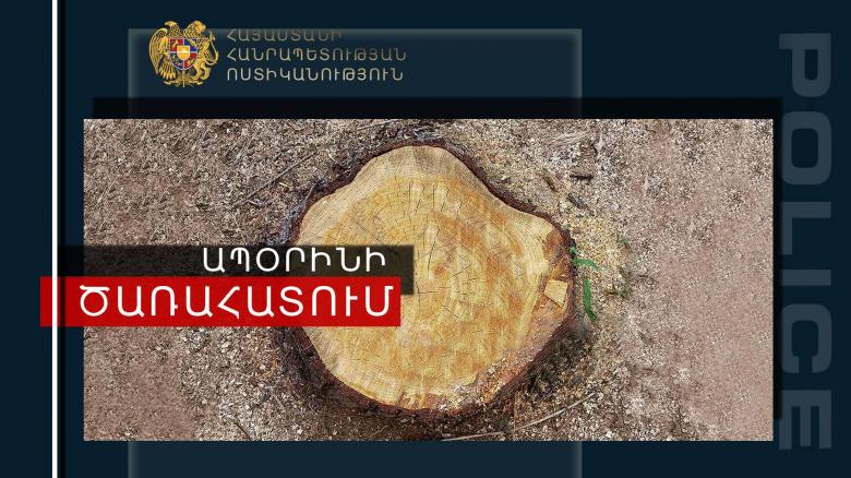 Գորիսի ոստիկանները ապօրինի փայտանյութ են հայտնաբերել Գորիսի ոստիկանները ապօրինի փայտանյութ են հայտնաբերել