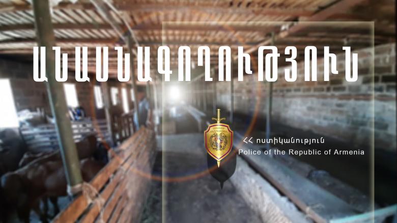 Չստացված անասնագողություն, մարմնական վնասվածքներ և՝ ոչ միայն…  Չստացված անասնագողություն, մարմնական վնասվածքներ և՝ ոչ միայն…