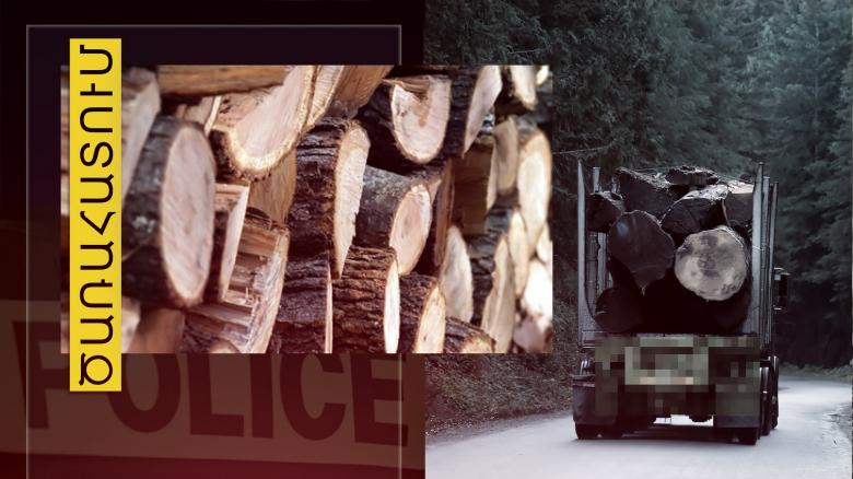 Բեռնատարի 25-ամյա վարորդը ծառեր էր ապօրինի հատել