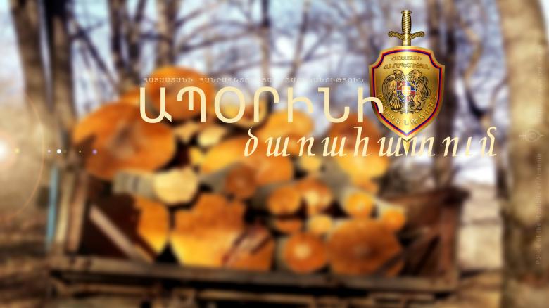 Գուգարքի ոստիկաններն ապօրինի ծառահատման դեպք են բացահայտել Գուգարքի ոստիկաններն ապօրինի ծառահատման դեպք են բացահայտել