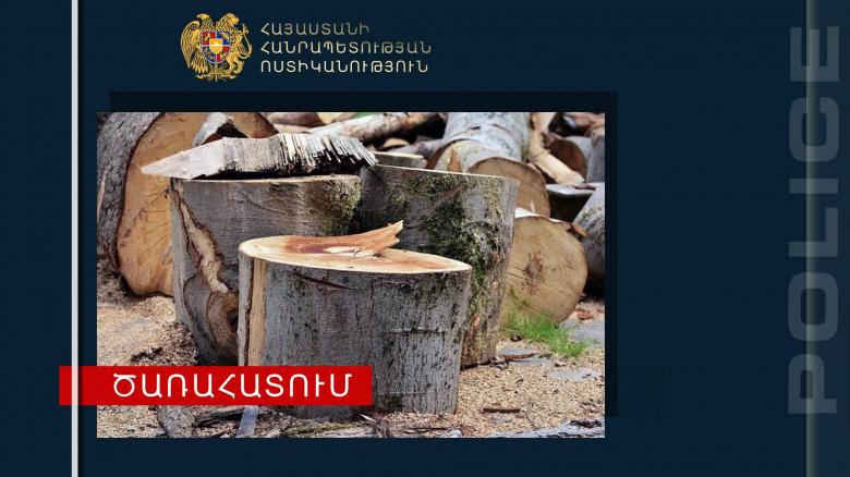 Պարեկները ապօրինի ծառահատման դեպք են բացահայտել Պարեկները ապօրինի ծառահատման դեպք են բացահայտել