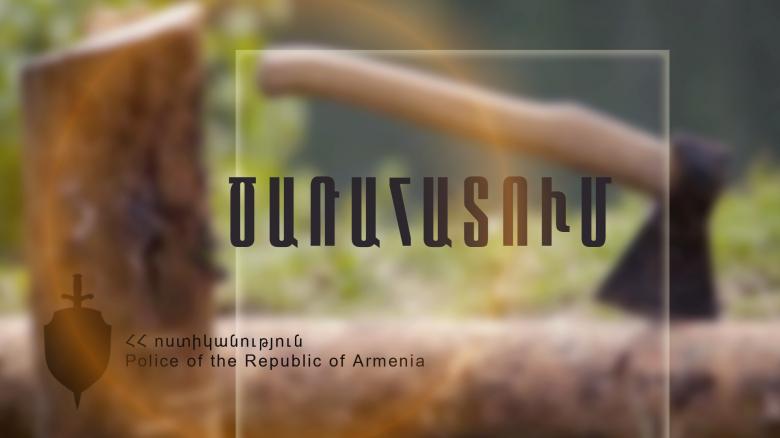 Ապօրինի ծառահատում Դավիթաշենում Ապօրինի ծառահատում Դավիթաշենում