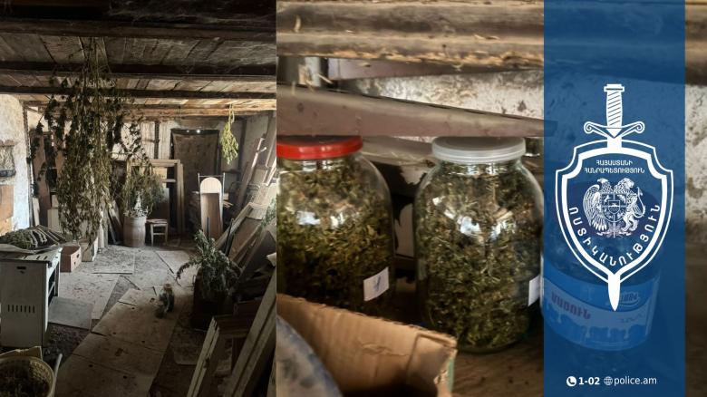 Նկուղում հայտնաբերվել են 12 կգ-ից ավելի կանեփանման զանգված և ցողուններ. նախաձեռնվել է քրեական վարույթ Նկուղում հայտնաբերվել են 12 կգ-ից ավելի կանեփանման զանգված և ցողուններ. նախաձեռնվել է քրեական վարույթ