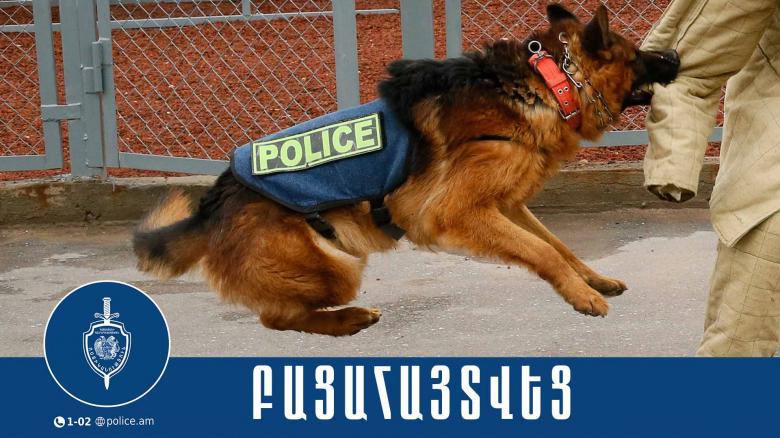 Շնակռիվ կազմակերպած տղամարդիկ ներկայացվել են նախաքննական մարմին Շնակռիվ կազմակերպած տղամարդիկ ներկայացվել են նախաքննական մարմին