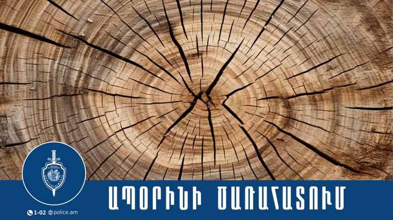 Ավանի համայնքային ոստիկանները հայտնաբերել են ապօրինի ծառահատում կատարած տղամարդուն Ավանի համայնքային ոստիկանները հայտնաբերել են ապօրինի ծառահատում կատարած տղամարդուն