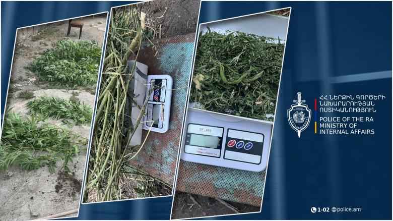 68-ամյա այգեշատցու անասնագոմում առանձնապես խոշոր չափի թմրամիջոց է հայտնաբերվել 68-ամյա այգեշատցու անասնագոմում առանձնապես խոշոր չափի թմրամիջոց է հայտնաբերվել