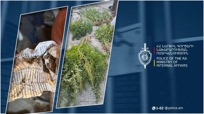 Սպիտակցի 63-ամյա տղամարդը աճեցնում էր կանեփ և իրացնում թմրամիջոց․ Լոռու քրեական ոստիկանները բացահայտեցին դեպքը Սպիտակցի 63-ամյա տղամարդը աճեցնում էր կանեփ և իրացնում թմրամիջոց․ Լոռու քրեական ոստիկանները բացահայտեցին դեպքը