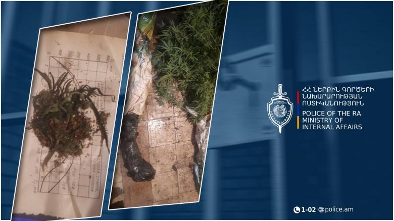 Կապանի համայնքային ոստիկանները հայտնաբերել են կանեփ և նույն բույսից պատրաստված չորացված զանգված Կապանի համայնքային ոստիկանները հայտնաբերել են կանեփ և նույն բույսից պատրաստված չորացված զանգված