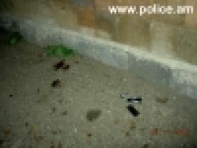 Նոր մանրամասներ «Մուշ» ռեստորանային համալիրում տեղի ունեցած սպանության դեպքից Նոր մանրամասներ «Մուշ» ռեստորանային համալիրում տեղի ունեցած սպանության դեպքից