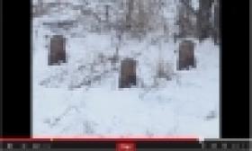 Ապօրինի ծառահատումներ մայրաքաղաքում (ՏԵՍԱՆՅՈՒԹ) Ապօրինի ծառահատումներ մայրաքաղաքում (ՏԵՍԱՆՅՈՒԹ)