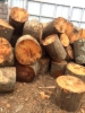 Ապօրինի ծառահատումների դեմ պայքարը շարունակվում է: Ոստիկանության հերթական միջոցառումների արդյունքները (ԼՈՒՍԱՆԿԱՐՆԵՐ) Ապօրինի ծառահատումների դեմ պայքարը շարունակվում է: Ոստիկանության հերթական միջոցառումների արդյունքները (ԼՈՒՍԱՆԿԱՐՆԵՐ)