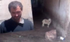 Գողացել էր 38 գառ, 13 ոչխար և 1 այծ (ՏԵՍԱՆՅՈՒԹ) Գողացել էր 38 գառ, 13 ոչխար և 1 այծ (ՏԵՍԱՆՅՈՒԹ)