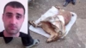 Սպանված բեզոարյան այծը հայտնաբերվեց «ՎԱԶ-2103»  մակնիշի ավտոմեքենայում (ՏԵՍԱՆՅՈՒԹ) Սպանված բեզոարյան այծը հայտնաբերվեց «ՎԱԶ-2103»  մակնիշի ավտոմեքենայում (ՏԵՍԱՆՅՈՒԹ)