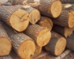 Ամփոփ տեղեկատվություն՝ ոստիկանության Տավուշի մարզային վարչության և ենթակա բաժիների կողմից 2017թ. հուլիսի 15-ից մինչև օգոստոսի 3-ն ընկած ժամանակահատվածում ապօրինի փայտանյութի դեմ տարված աշխատանքների վերաբերյալ Ամփոփ տեղեկատվություն՝ ոստիկանության Տավուշի մարզային վարչության և ենթակա բաժիների կողմից 2017թ. հուլիսի 15-ից մինչև օգոստոսի 3-ն ընկած ժամանակահատվածում ապօրինի փայտանյութի դեմ տարված աշխատանքների վերաբերյալ