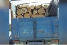 «Զիլը»՝ ապօրինի փայտանյութով բարձված (ՏԵՍԱՆՅՈՒԹ) «Զիլը»՝ ապօրինի փայտանյութով բարձված (ՏԵՍԱՆՅՈՒԹ)