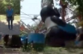 «Հաղթանակ» զբոսայգում կատարված գողությունը բացահայտվեց (ՏԵՍԱՆՅՈՒԹ) «Հաղթանակ» զբոսայգում կատարված գողությունը բացահայտվեց (ՏԵՍԱՆՅՈՒԹ)