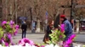 Ճանապարհային և պարեկային ոստիկանների անակնկալը կանանց (ՏԵՍԱՆՅՈՒԹ) Ճանապարհային և պարեկային ոստիկանների անակնկալը կանանց (ՏԵՍԱՆՅՈՒԹ)