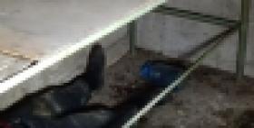 Սպանության դեպք է բացահայտվել։ Մի հոգի ձերբակալվել է (ՏԵՍԱՆՅՈՒԹ) Սպանության դեպք է բացահայտվել։ Մի հոգի ձերբակալվել է (ՏԵՍԱՆՅՈՒԹ)