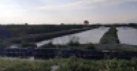 Գողության փորձ Հովտաշատի ձկնաբուծարանից /ՏԵՍԱՆՅՈՒԹ/ Գողության փորձ Հովտաշատի ձկնաբուծարանից /ՏԵՍԱՆՅՈՒԹ/