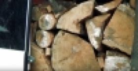 Ոստիկանության տարբեր ստորաբաժանումներ բացահայտել են ապօրինի ծառահատման դեպքեր /ՏԵՍԱՆՅՈՒԹ/ Ոստիկանության տարբեր ստորաբաժանումներ բացահայտել են ապօրինի ծառահատման դեպքեր /ՏԵՍԱՆՅՈՒԹ/