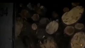 Ալավերդու պարեկային ոստիկանները ապօրինի ծառահատման դեպք են բացահայտել Ալավերդու պարեկային ոստիկանները ապօրինի ծառահատման դեպք են բացահայտել