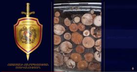 Ապօրինի ծառահատման հերթական դեպքն է բացահայտվել Լոռիում Ապօրինի ծառահատման հերթական դեպքն է բացահայտվել Լոռիում