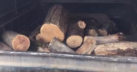 Տավուշի ոստիկանների բացահայտած ապօրինի ծառահատումների հետքերով Տավուշի ոստիկանների բացահայտած ապօրինի ծառահատումների հետքերով