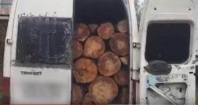 Ոստիկանության Գուգարքի բաժնի ծառայողները ապօրինի ծառահատման դեպքեր են բացահայտել Ոստիկանության Գուգարքի բաժնի ծառայողները ապօրինի ծառահատման դեպքեր են բացահայտել