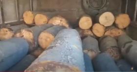 Գուգարքի ոստիկանները ապօրինի ծառահատման դեպք են բացահայտել Գուգարքի ոստիկանները ապօրինի ծառահատման դեպք են բացահայտել