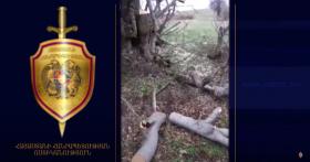 Տավուշի բաժնի ոստիկանները ապօրինի ծառահատման դեպք են բացահայտել Տավուշի բաժնի ոստիկանները ապօրինի ծառահատման դեպք են բացահայտել