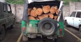 Ապրիլի 17-ին ոստիկանության Տավուշի բաժնի ծառայողները ապօրինի ծառահատման դեպք են բացահայտել Ապրիլի 17-ին ոստիկանության Տավուշի բաժնի ծառայողները ապօրինի ծառահատման դեպք են բացահայտել