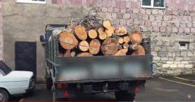 Տավուշի ոստիկանները հերթական ապօրինի ծառահատման դեպքն են բացահայտել Տավուշի ոստիկանները հերթական ապօրինի ծառահատման դեպքն են բացահայտել