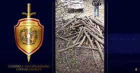 Տղամարդը 60-ից ավելի ծառ է ապօրինի հատել ու բռնվել․ Ստեփանավանի ոստիկանների բացահայտումը Տղամարդը 60-ից ավելի ծառ է ապօրինի հատել ու բռնվել․ Ստեփանավանի ոստիկանների բացահայտումը