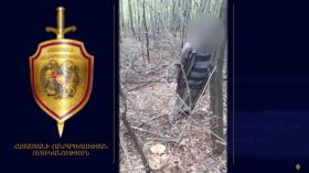 Երկու օրվա ընթացքում ապօրինի հատել էր 20-ից ավելի ծառ․ Գուգարքի ոստիկանների բացահայտումը