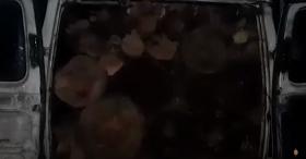 Գուգարքի պարեկային ոստիկանները ապօրինի ծառահատման հերթական դեպքն են բացահայտել Գուգարքի պարեկային ոստիկանները ապօրինի ծառահատման հերթական դեպքն են բացահայտել