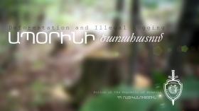 Թումանյանի ոստիկանները ապօրինի ծառահատման դեպք են բացահայտել Թումանյանի ոստիկանները ապօրինի ծառահատման դեպք են բացահայտել