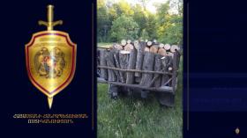 Ապօրինի հատել էր բոխի, կաղնի և հացենի․ Թումանյանի ոստիկանների բացահայտումը Ապօրինի հատել էր բոխի, կաղնի և հացենի․ Թումանյանի ոստիկանների բացահայտումը