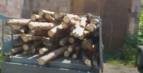 Ծառեր էր ապօրինի հատել ու բռնվել․ Գուգարքի ոստիկանների բացահայտումը Ծառեր էր ապօրինի հատել ու բռնվել․ Գուգարքի ոստիկանների բացահայտումը